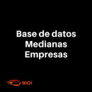 BASE DE DATOS MEDIANA EMPRESA