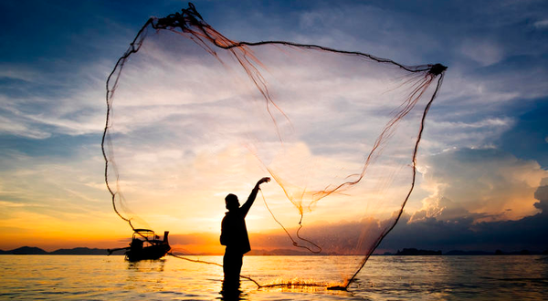 fishing net como hacer spam efectivo
