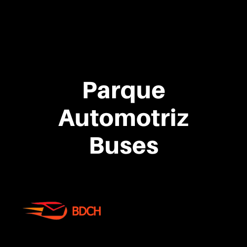 Parque automotriz, Buses 2024 (124.000 Contactos)