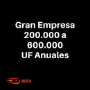 BASE DE DATOS GRANDES EMPRESAS