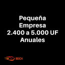 PEQUEÑAS EMPRESAS BASES DE DATOS